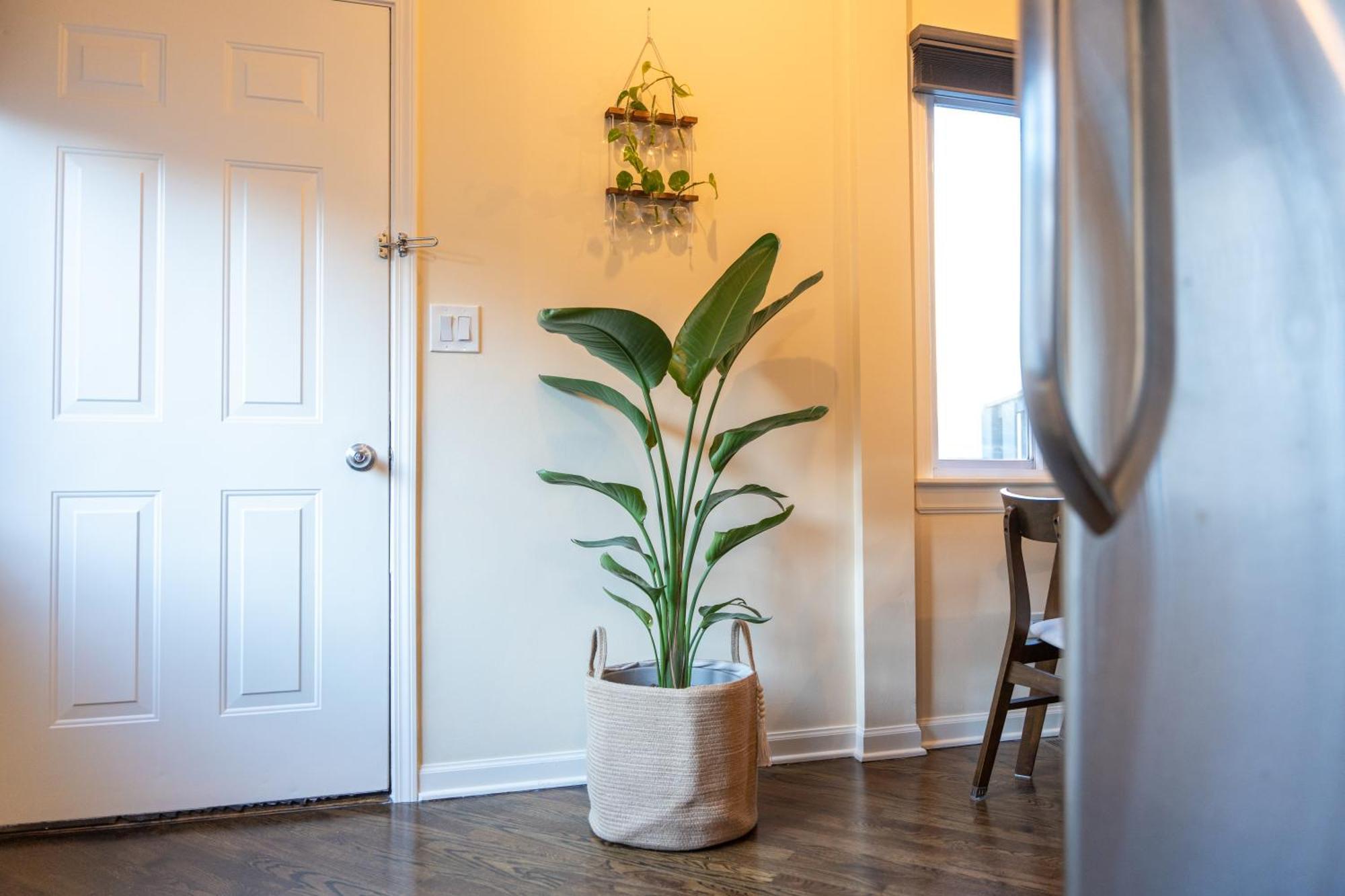 Appartement Bucktown Private